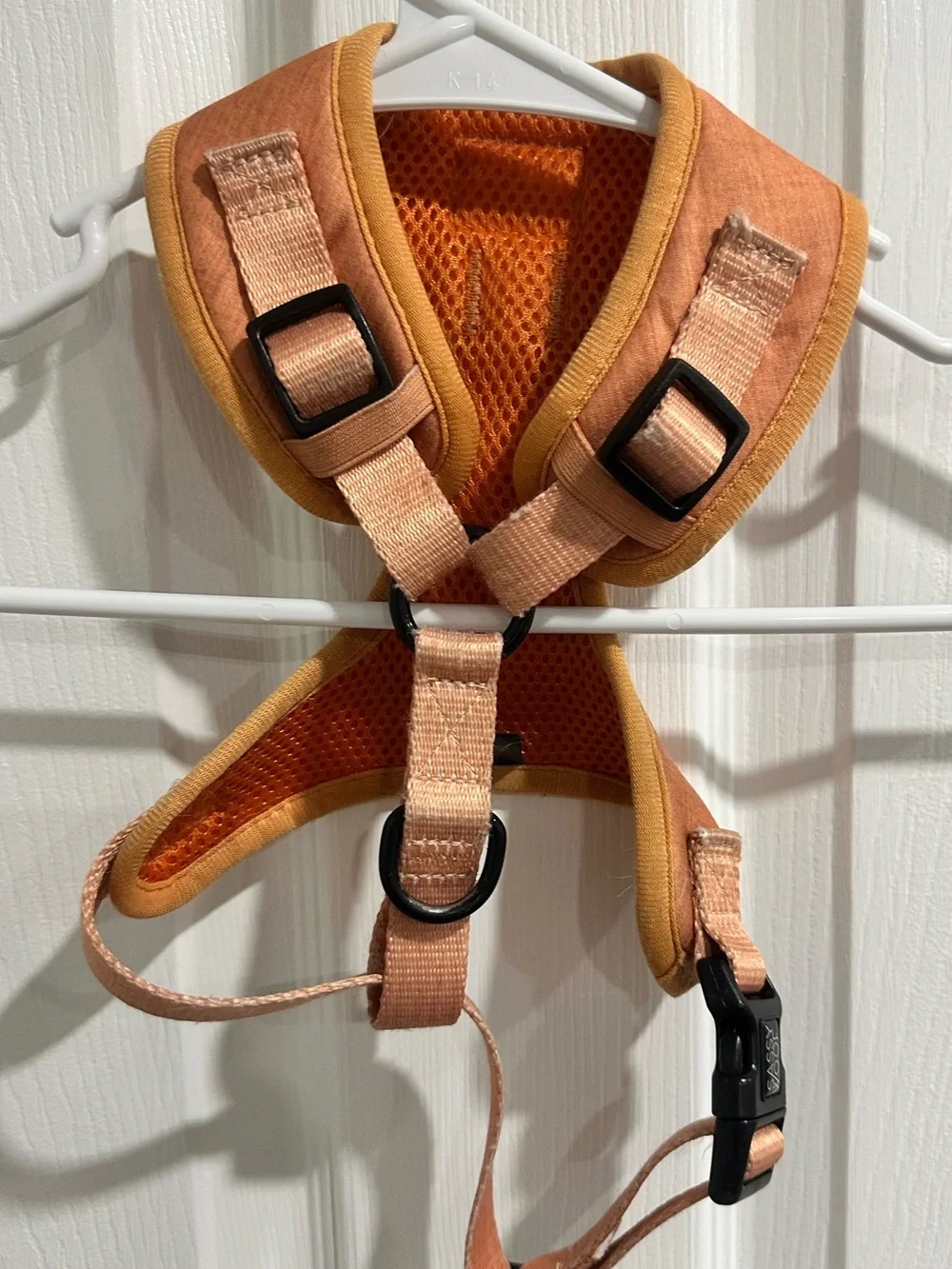 Sassy Woof Apple Cider Light Orange Fall Dog Harness